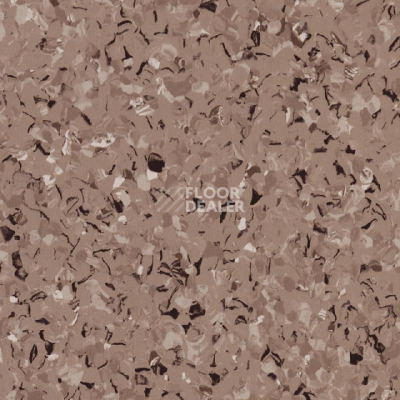 Линолеум Tarkett iq Toro Sc LIGHT BROWN 0574 фото 1 | FLOORDEALER